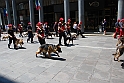 Raduno Carabinieri Torino 26 Giugno 2011_433